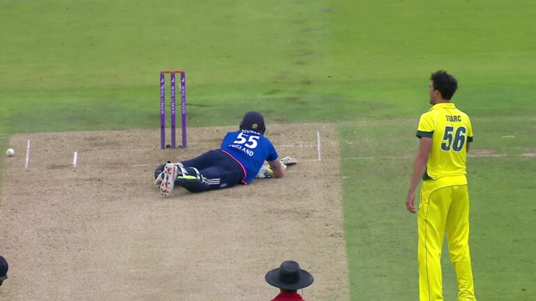 7 Cricketers Dismissed “Obstructing The Field”