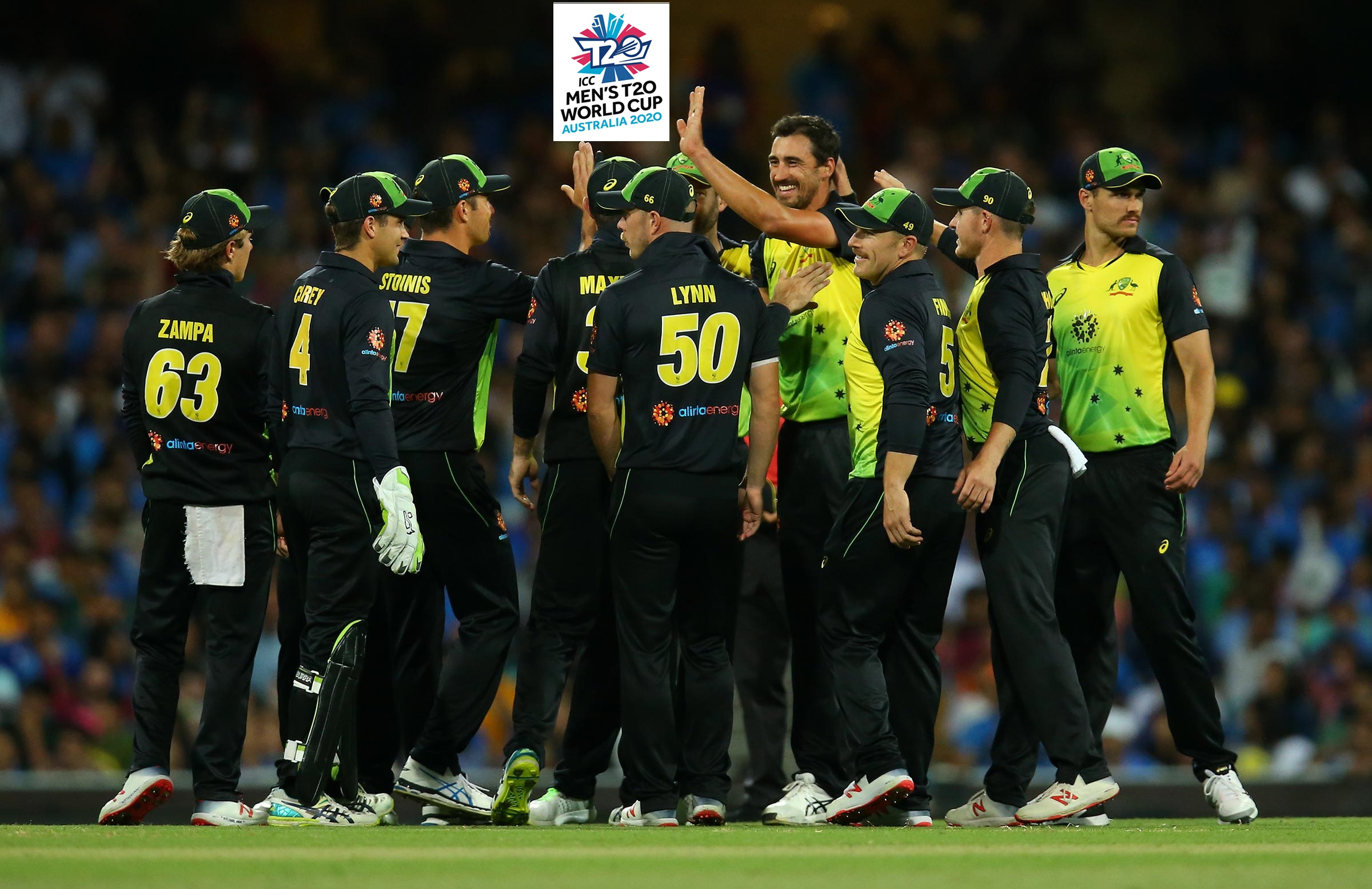 Team for T20 World Cup is almost ready