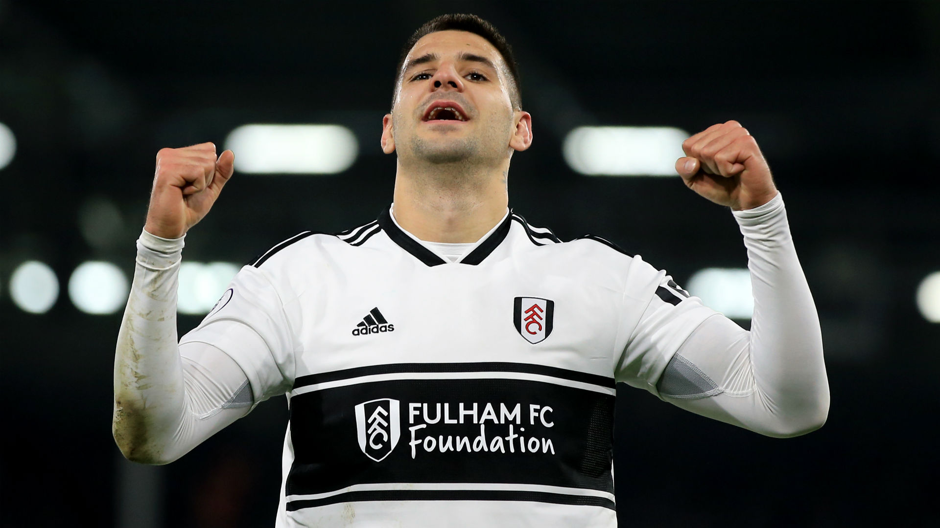 Aleksandar Mitrovic is the favourite to win the Championship Golden Boot at the end of the seaon.