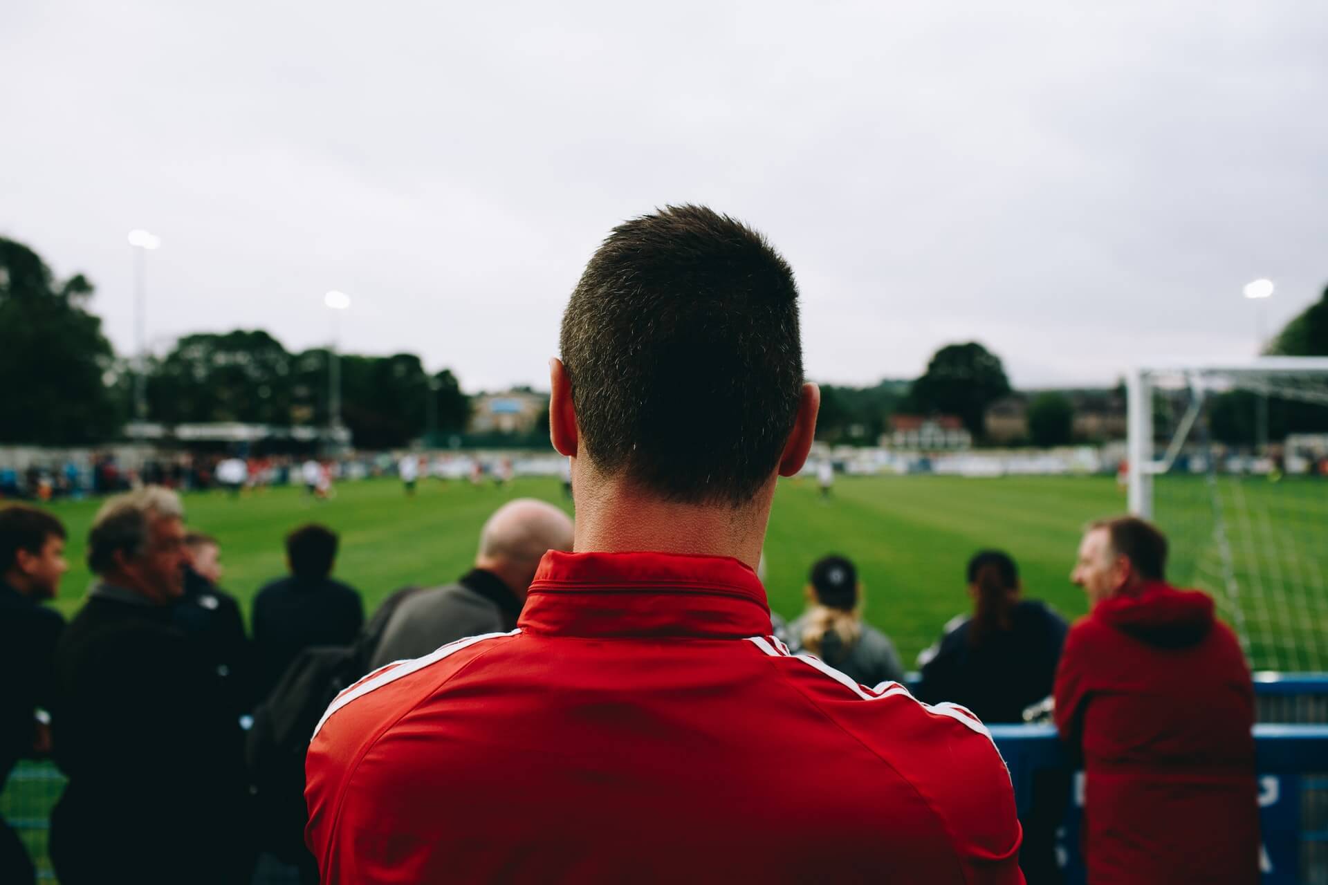 Learn how to become a professional in sports betting