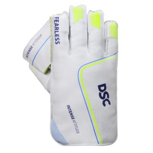 DSC Intense Attitude Cricket Wicket Keeping Gloves
