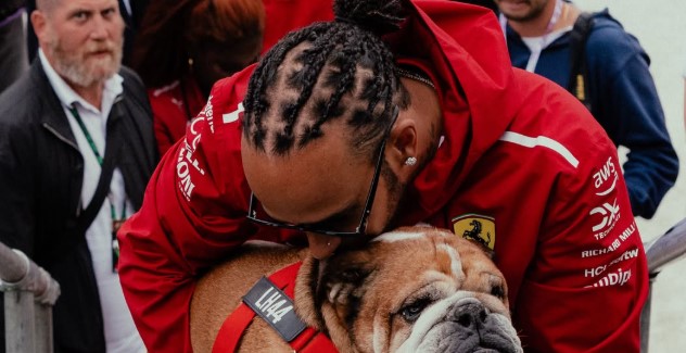 Lewis Hamilton pays emotional tribute to pet dog  Roscoe on death anniversary